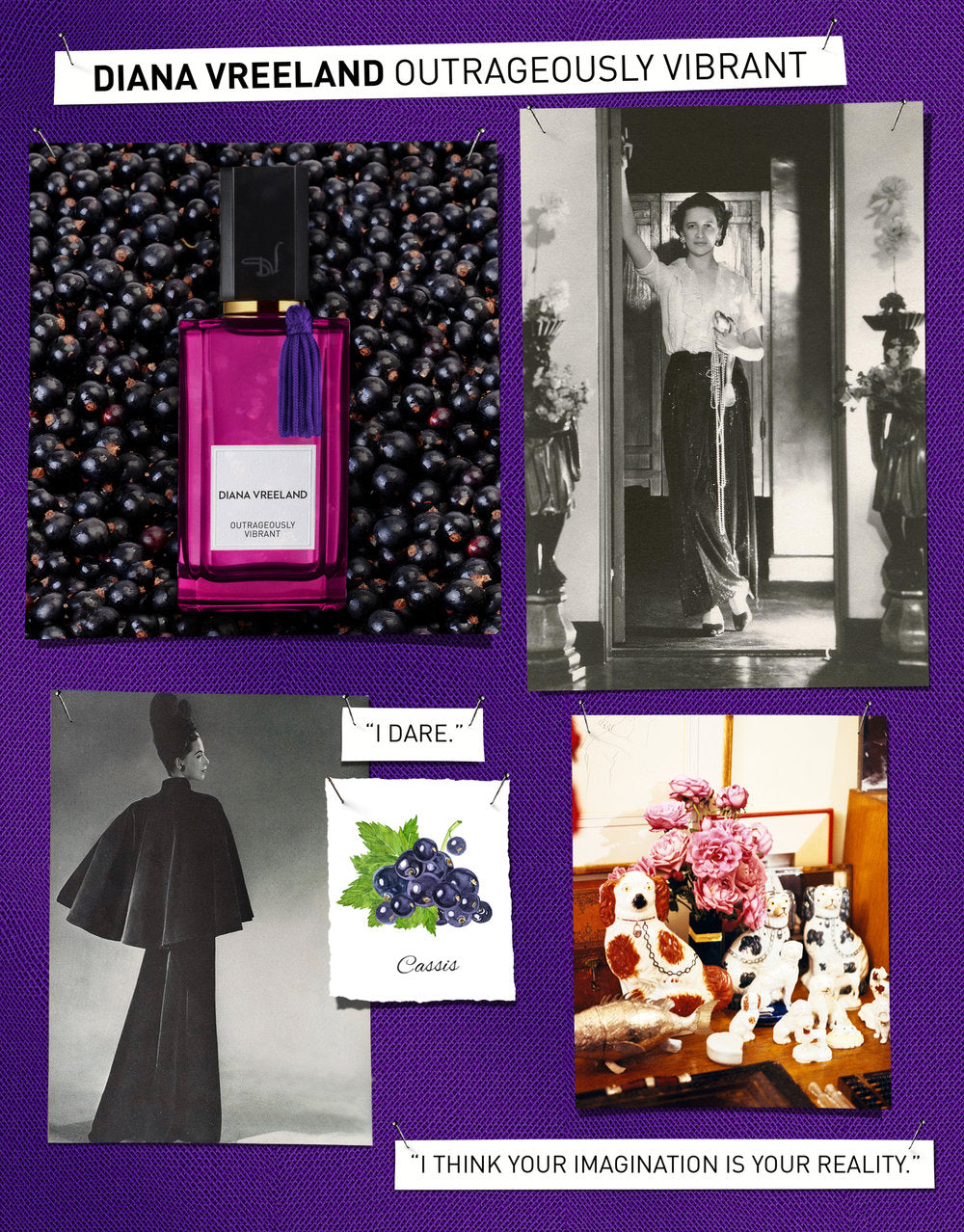 Outrageously Vibrant